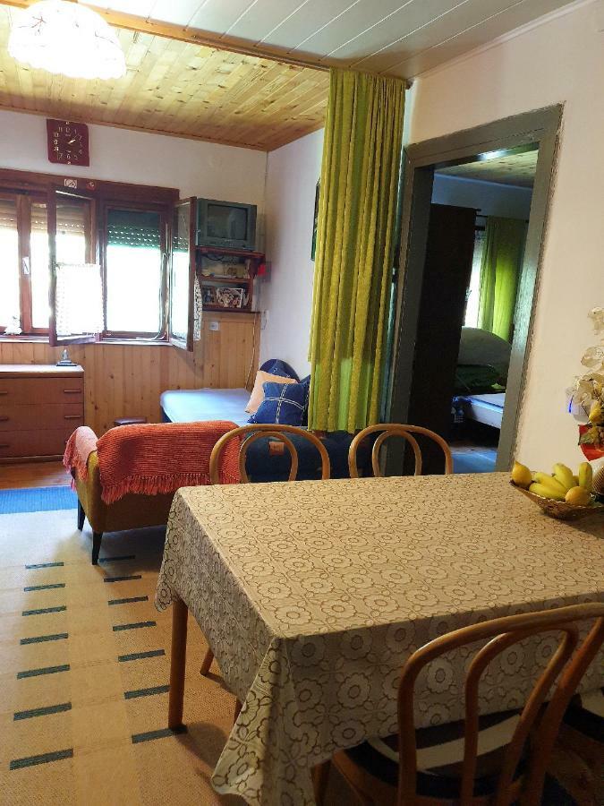 Draga Koncar Guest House Vrelo Korenicko ภายนอก รูปภาพ